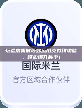玩老虎机时巧妙运用支付线功能，轻松提升胜率！
